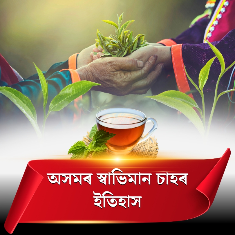 অসমৰ স্বাভিমান চাহৰ ইতিহাস